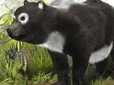 �й���������è����Դ��ŷ��