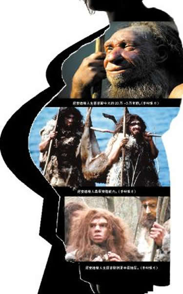 ������ڣ����ᰲ�����˸���