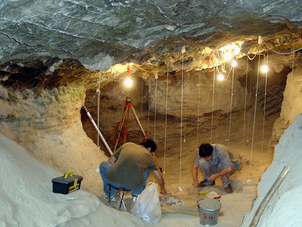 ��԰����ַ