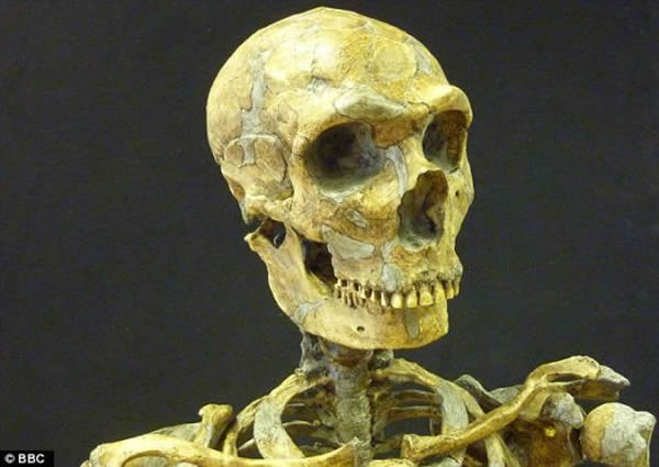 ������Ϊ�ᰲ�����˵Ĵ��Գߴ糬�����࣬����ӵ�б�������ߵ�����