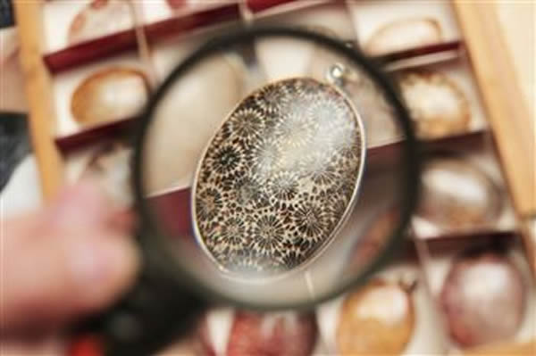 ��ʯ�ղ��м������ȫ ��ר���ղ��Ǹ��ð취