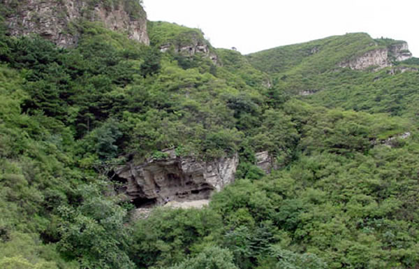 ��԰���⾰