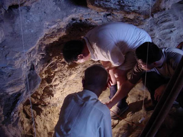 ������Ժʿ����2003������԰�������ֳ�