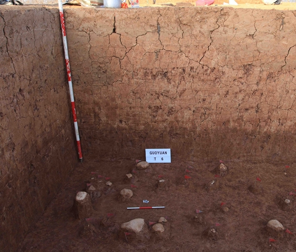 �ܼ��ֲ���ʯ��