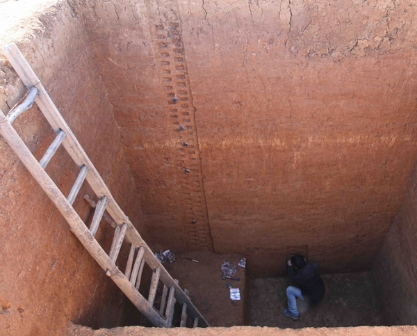 ���ŷ����ֳ�