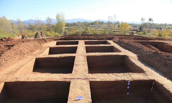 ���ŷ����ֳ�