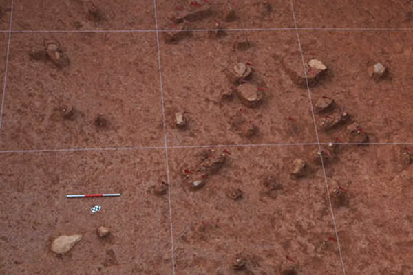 ��ܫ�ص��ʯ��Ʒ�ӹ���ҵ�棨���罭��ͼ��