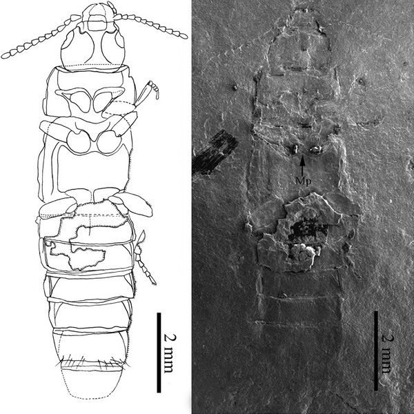 ͼ2-�ⱴ�Ӷ����������