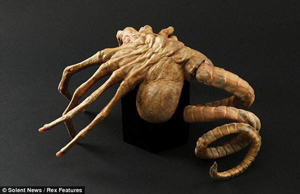 ������������������������Զ�Ż�ʯ����