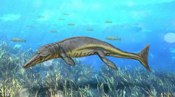 英国发现侏罗纪时期一半像鲨鱼一半像海豚的远古海洋生物