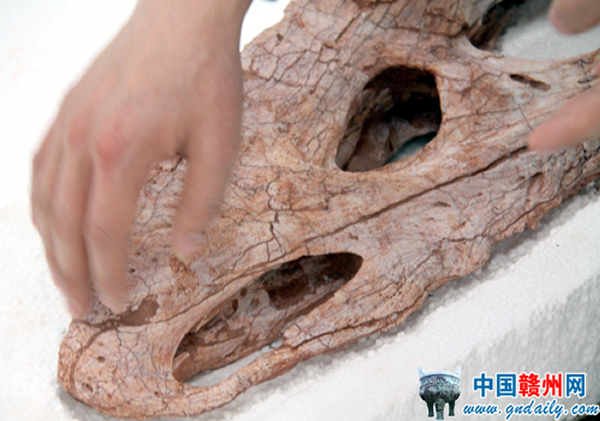 ������ͷ�ǻ�ʯ�ֲ�