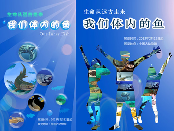 йŶݴھٰ조Զ--ڵ㡱رչ