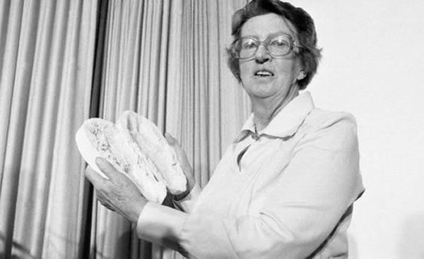 ����������