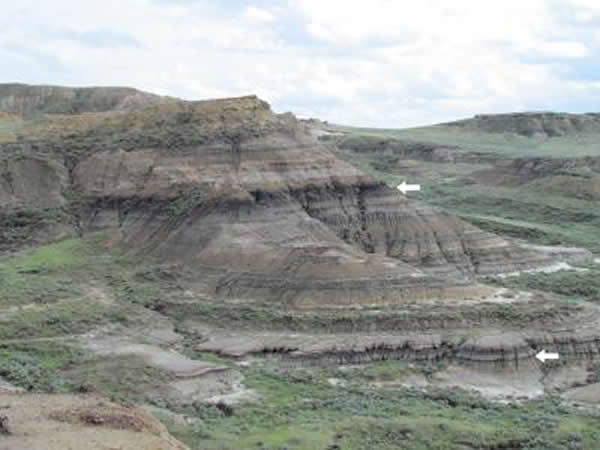 �ɴ�����Լ����������ʯ��