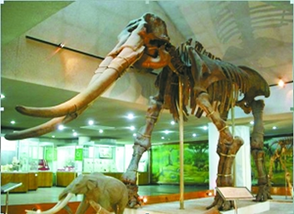 ���ƺ��󡱻�ʯ