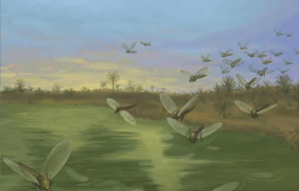 �������ϵ�����ʵ������ˮ�ܻ������ܵ�Ӭ��