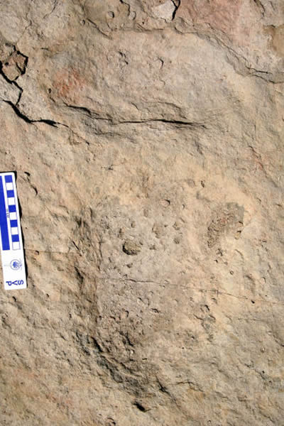 ���������㼣��ģʽ�걾֮һ��������ǰ���㼣