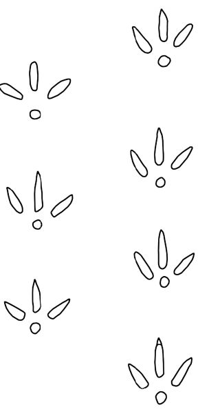 �Ż��㼣����ͼ