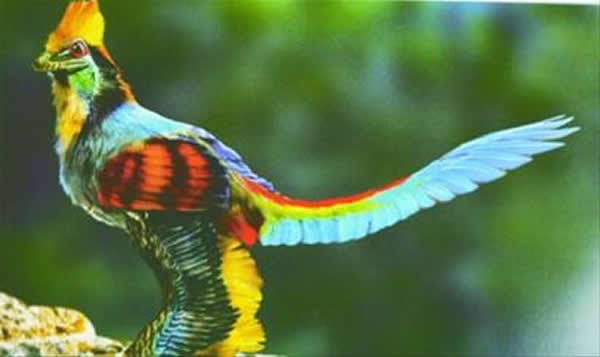 郑氏晓廷龙复原图