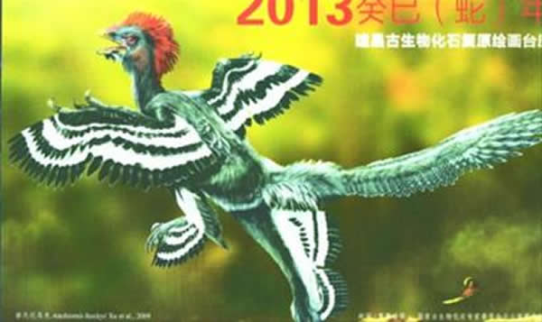 赫氏近鸟龙复原图