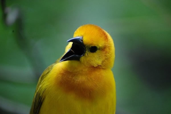 �������Ի����������Ѵ�ϵͳ����Ͻ�������