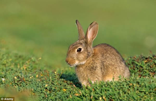 ���Ӳ��ǵ����ᰲ���������������ף�