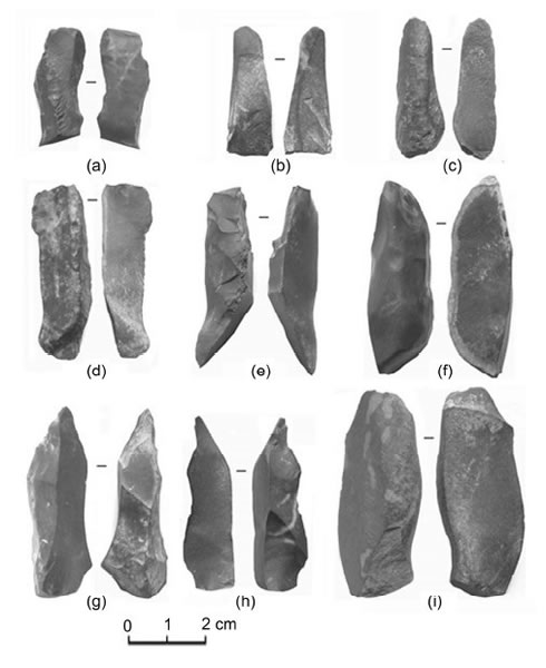 Ұţ��ϸʯ���ص�I �ɼ���ʯҶ��ʯƬ