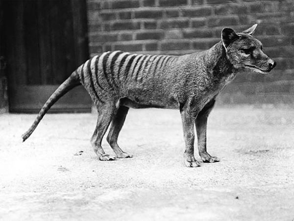 ������һ������������֣�Ŀǰ��ѧ�ҿ�ʼ���۸���������ֵĿ�ѧ�ԺͿɿ���