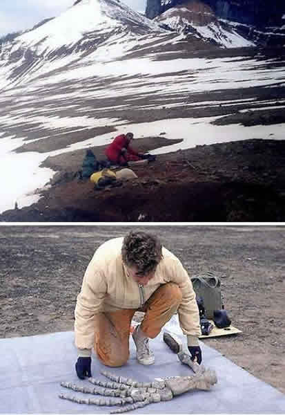 蛇颈龙似尼斯湖水怪