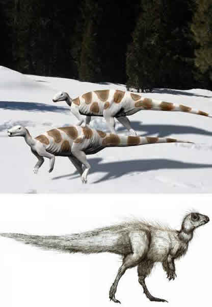 圣玛尔塔特立尼龙