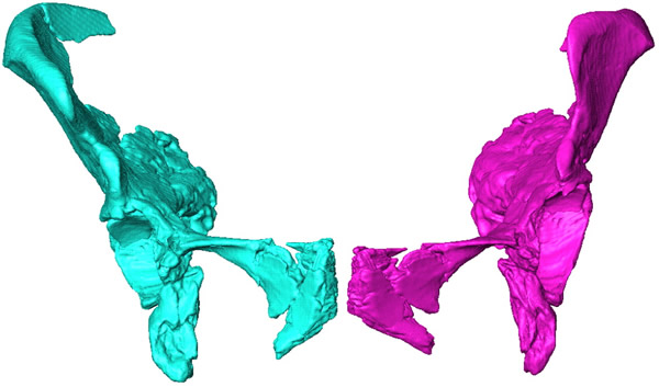 �ᰲ�����˿��ܺ��ִ���һ����������