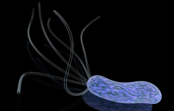 �����������������ͼ