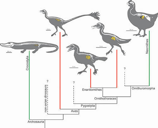 �����㵽����������ݻ���ʷ������ƣ�