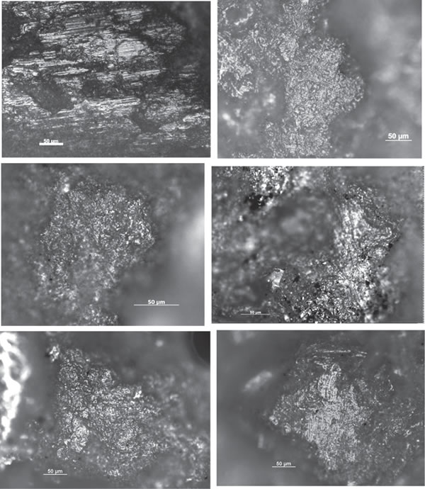 古人类使用过的磨石中发现使用磨损和植物残留物