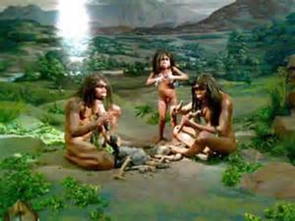 �¼����Ǹߵص�����������5����ǰ�ѿ�����ľ�ճ���������ֲ