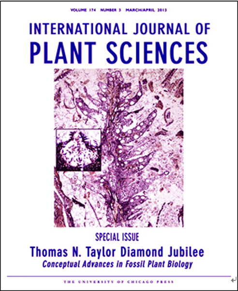 《国际植物学杂志》本期封面