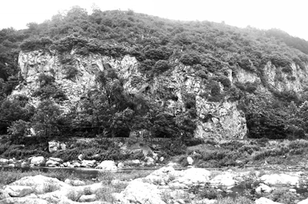 ��Ҷ���ַ�⾰