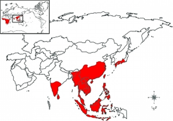 �������ܿ����ֲַ���Χ