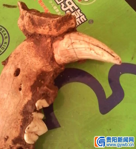 �����հ��ش����޷��ڵػ�ʱ���ֵĹ����ﻯʯ