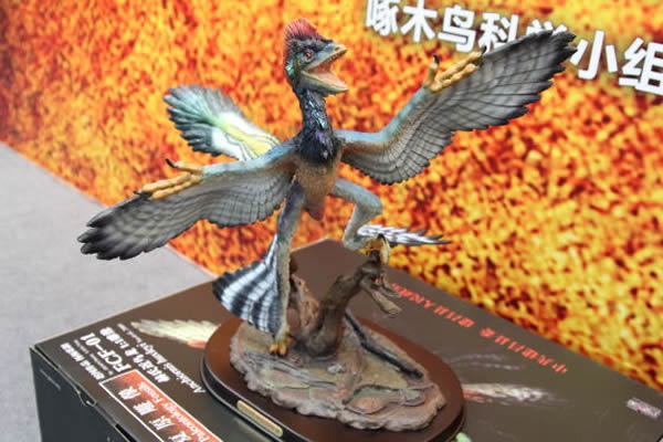 ���Ͻ���������ģ�걾��ʯ����������ʡ������