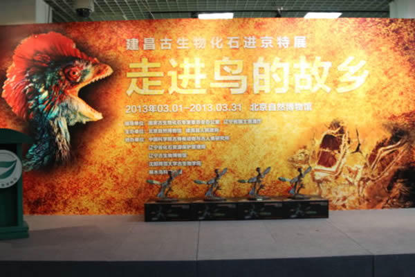 ������ʽ�ֳ�