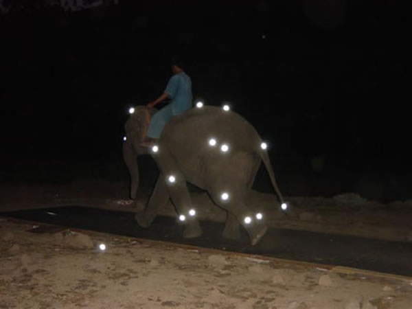 ����ġ�����������