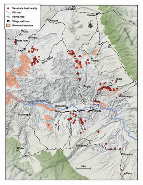 ��������½��ͼ�׵���ﻯʯ�ص�ֲ�ͼ����������ͼ��