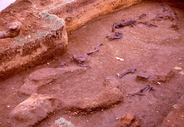 ������������ַMonte Verde����1��4000��ǰ���Ƶĺ���