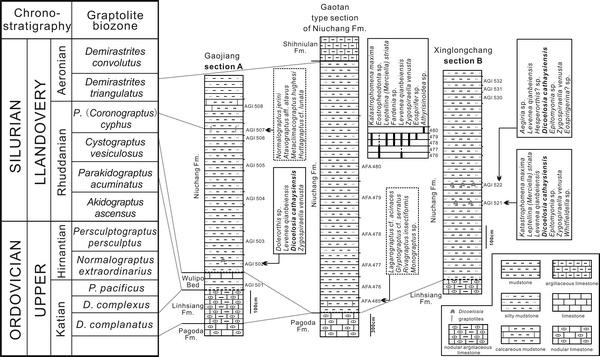 ���ռ�ĩ������������㶯���Ⱥ�о��½�չ