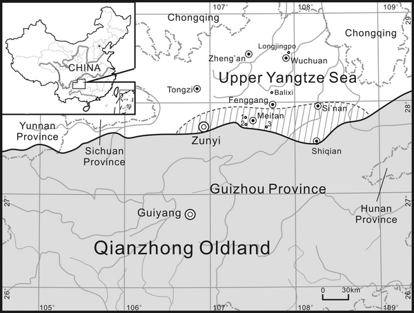 ���ռ�ĩ������������㶯���Ⱥ�о��½�չ