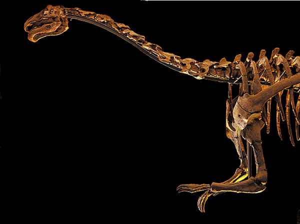 ������ԭ�Ǽ�