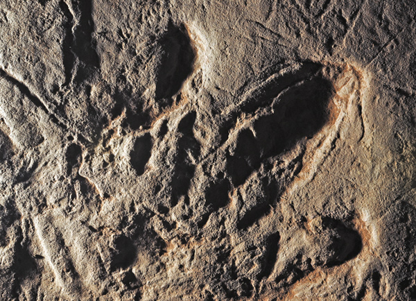 ���ֿ����㼣ʱ�������������ǣ��㼣�ͻ�ʯ���ڸ���ͬʱ�����֣�������ж������ֿ��������ź����ǣ��������Ŀǰ��û����