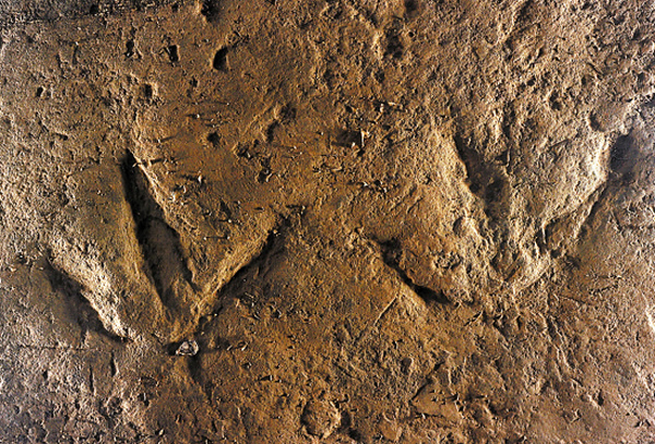 �޽���������㼣