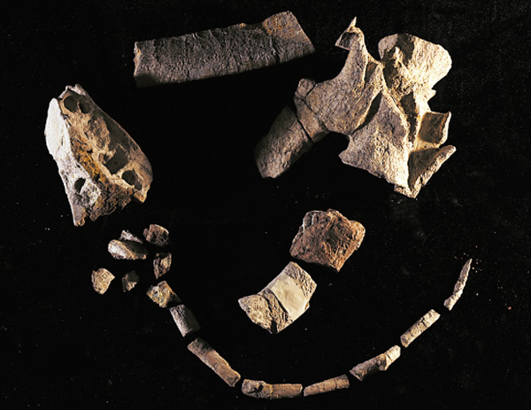 �����Ļ�ʯ��ͷ